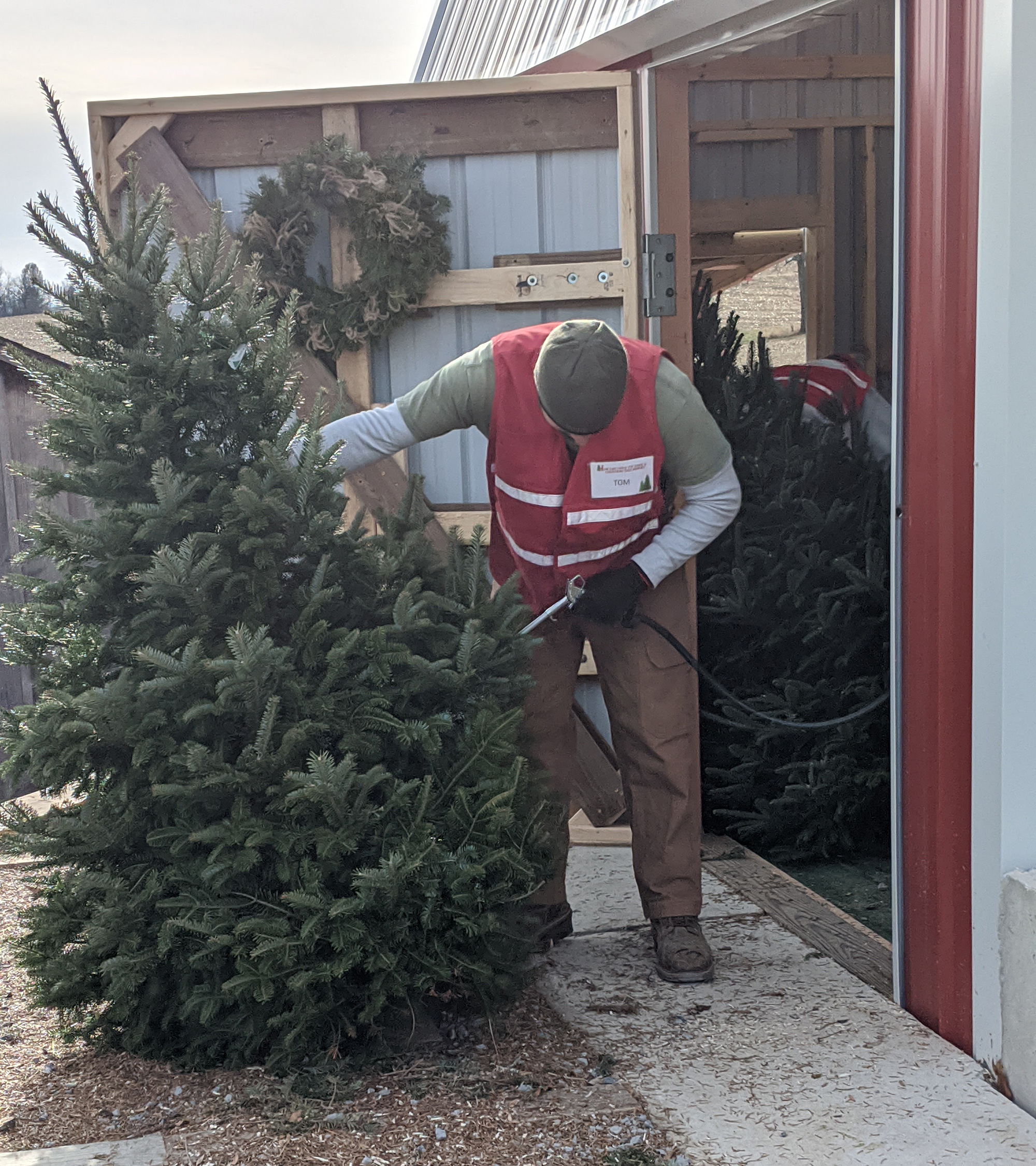 christmas tree farms near me hiring